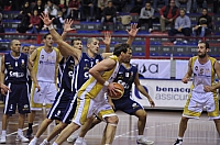 15-bosco