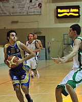 61-di-cicco