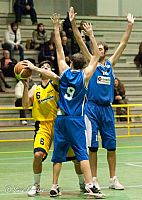 3-ferraro