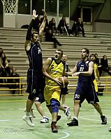 17-lippiello