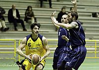 8-ferraro