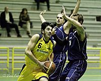 9-ferraro